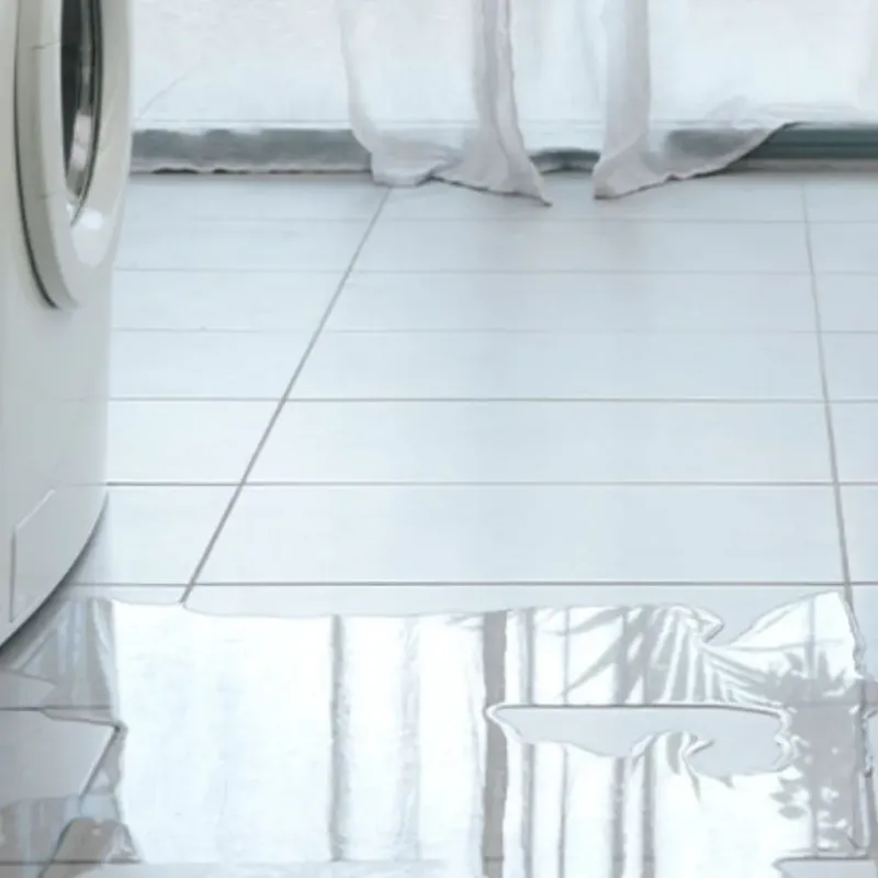 Appliance Leak Cleanup in Lindale, TX