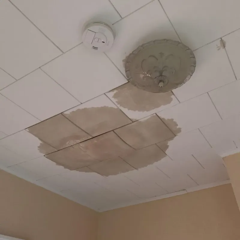 Ceiling Water Damage Repair in Lindale, TX