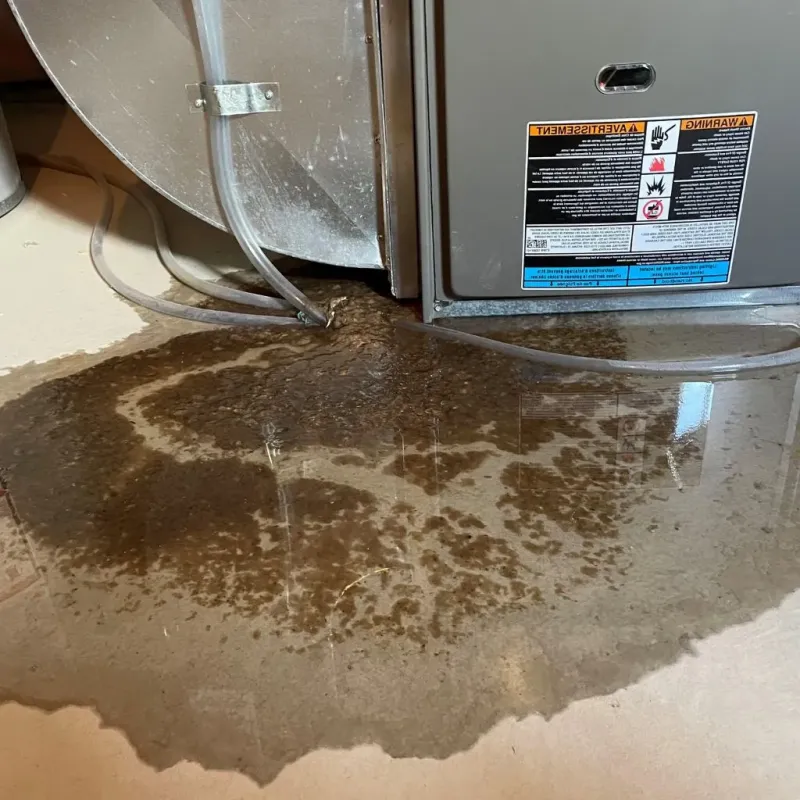 Pipe Burst and Leak Restoration in Lindale, TX